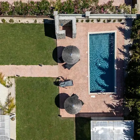 Heliophos Amalthia קיוטארי